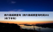 四六级成绩查询（四六级成绩查询时间2023年下半年）