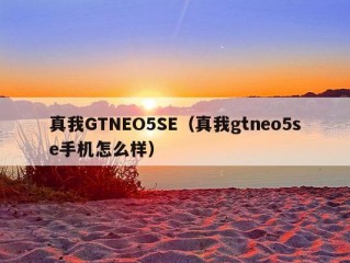 真我GTNEO5SE（真我gtneo5se手机怎么样）