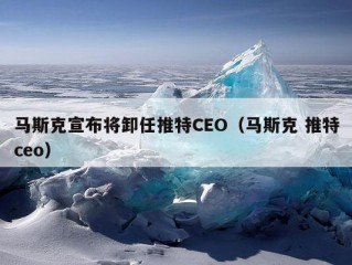 马斯克宣布将卸任推特CEO（马斯克 推特ceo）