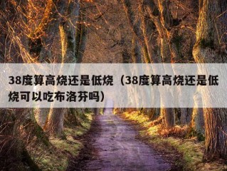 38度算高烧还是低烧（38度算高烧还是低烧可以吃布洛芬吗）