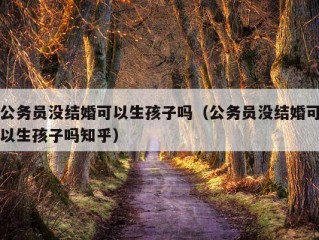 公务员没结婚可以生孩子吗（公务员没结婚可以生孩子吗知乎）