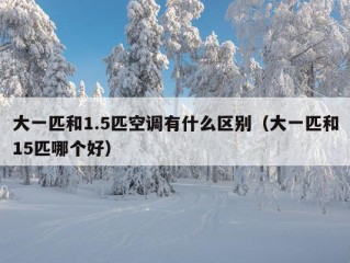 大一匹和1.5匹空调有什么区别（大一匹和15匹哪个好）