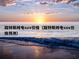 路特斯纯电suv价格（路特斯纯电suv价格预测）