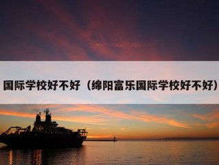 国际学校好不好（绵阳富乐国际学校好不好）