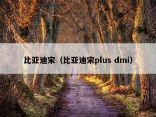 比亚迪宋（比亚迪宋plus dmi）