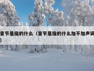 音节是指的什么（音节是指的什么加不加声调）