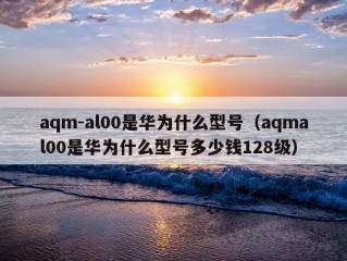 aqm-al00是华为什么型号（aqmal00是华为什么型号多少钱128级）