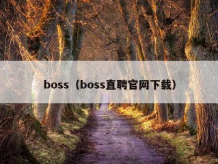 boss（boss直聘官网下载）