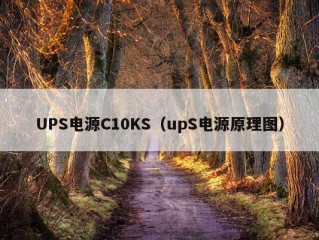 UPS电源C10KS（upS电源原理图）