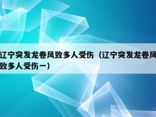 辽宁突发龙卷风致多人受伤（辽宁突发龙卷风致多人受伤一）