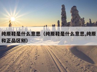 纯原鞋是什么意思（纯原鞋是什么意思,纯原和正品区别）