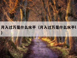 月入过万是什么水平（月入过万是什么水平l）