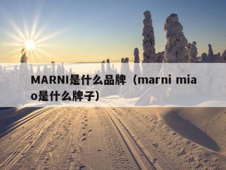 MARNI是什么品牌（marni miao是什么牌子）