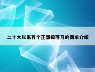 二十大以来首个正部级落马的简单介绍