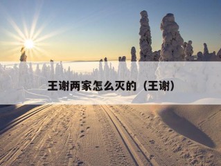 王谢两家怎么灭的（王谢）