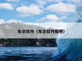 东华软件（东华软件股吧）