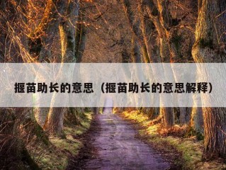 揠苗助长的意思（揠苗助长的意思解释）