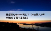 林志颖儿子KIMI死亡了（林志颖儿子kimi死亡了是不是真的）