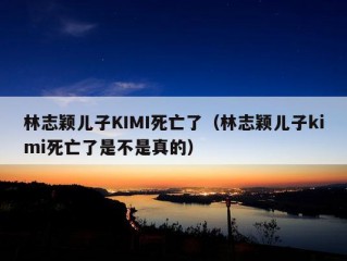 林志颖儿子KIMI死亡了（林志颖儿子kimi死亡了是不是真的）