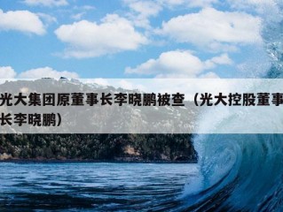 光大集团原董事长李晓鹏被查（光大控股董事长李晓鹏）