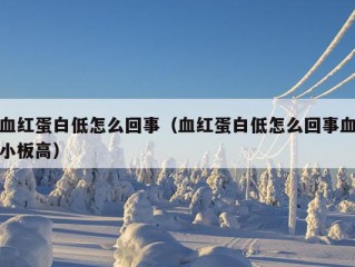 血红蛋白低怎么回事（血红蛋白低怎么回事血小板高）