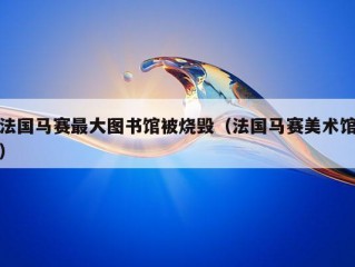 法国马赛最大图书馆被烧毁（法国马赛美术馆）