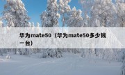 华为mate50（华为mate50多少钱一台）