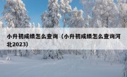 小升初成绩怎么查询（小升初成绩怎么查询河北2023）