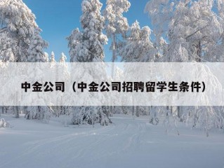 中金公司（中金公司招聘留学生条件）