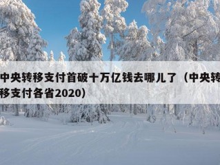 中央转移支付首破十万亿钱去哪儿了（中央转移支付各省2020）