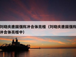 刘晓庆唐国强陈冲合体亮相（刘晓庆唐国强陈冲合体亮相中）