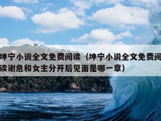 坤宁小说全文免费阅读（坤宁小说全文免费阅读谢危和女主分开后见面是哪一章）