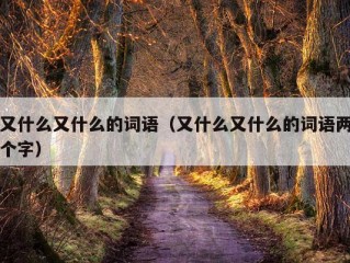 又什么又什么的词语（又什么又什么的词语两个字）