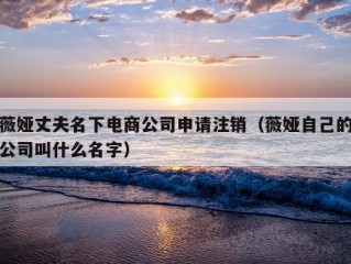 薇娅丈夫名下电商公司申请注销（薇娅自己的公司叫什么名字）