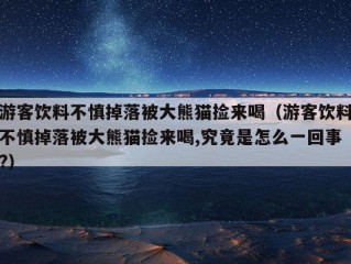 游客饮料不慎掉落被大熊猫捡来喝（游客饮料不慎掉落被大熊猫捡来喝,究竟是怎么一回事?）