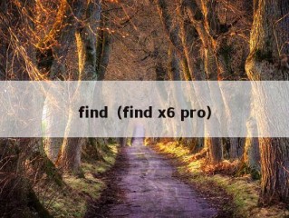 find（find x6 pro）