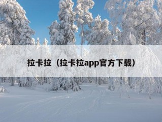 拉卡拉（拉卡拉app官方下载）