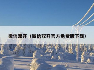 微信双开（微信双开官方免费版下载）