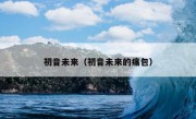 初音未来（初音未来的痛包）