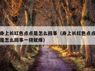 身上长红色点点是怎么回事（身上长红色点点是怎么回事一挠就痒）