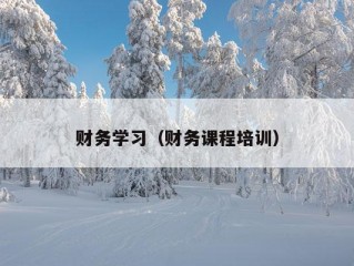 财务学习（财务课程培训）