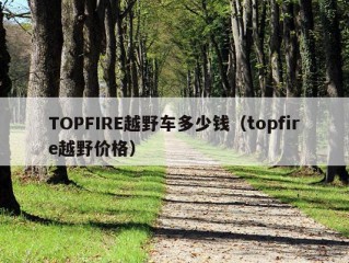 TOPFIRE越野车多少钱（topfire越野价格）