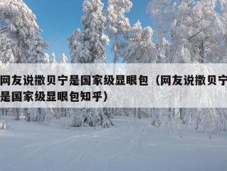 网友说撒贝宁是国家级显眼包（网友说撒贝宁是国家级显眼包知乎）