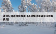 注册公司流程和费用（小规模注册公司流程和费用）