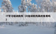 IT学习培训机构（it培训机构真的有用吗）