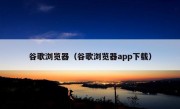 谷歌浏览器（谷歌浏览器app下载）