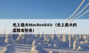 史上最大MacBookAir（史上最大的蓝鳍金枪鱼）