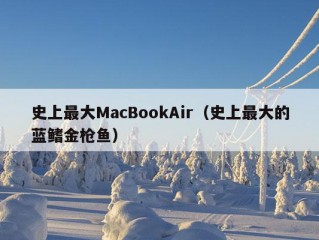 史上最大MacBookAir（史上最大的蓝鳍金枪鱼）