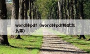 word转pdf（word转pdf格式怎么弄）