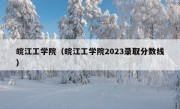 皖江工学院（皖江工学院2023录取分数线）